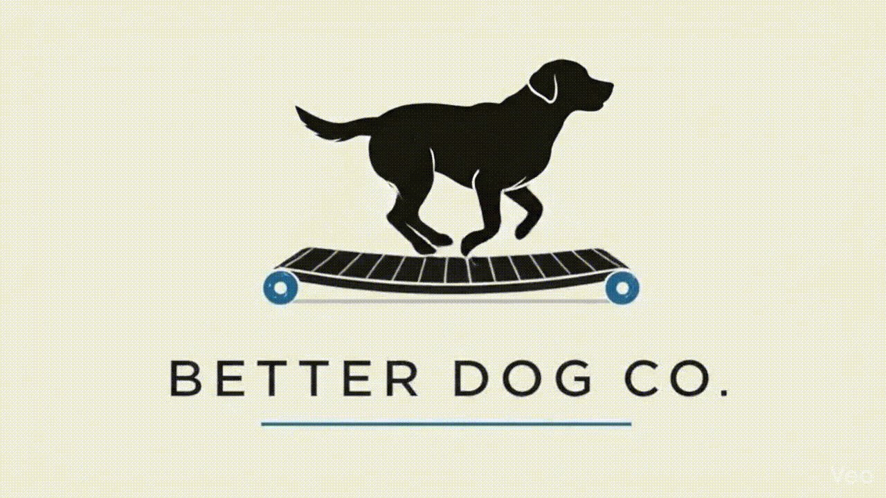 Logo Better Dog Co. Charlottesville VA
