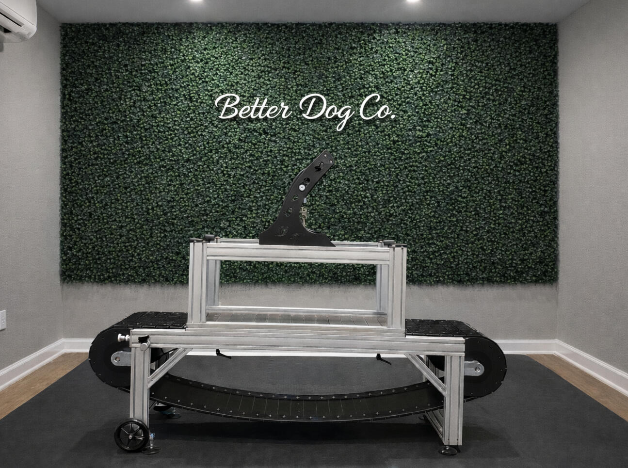 Dog treadmill and structured exercise studio in Charlottesville VA