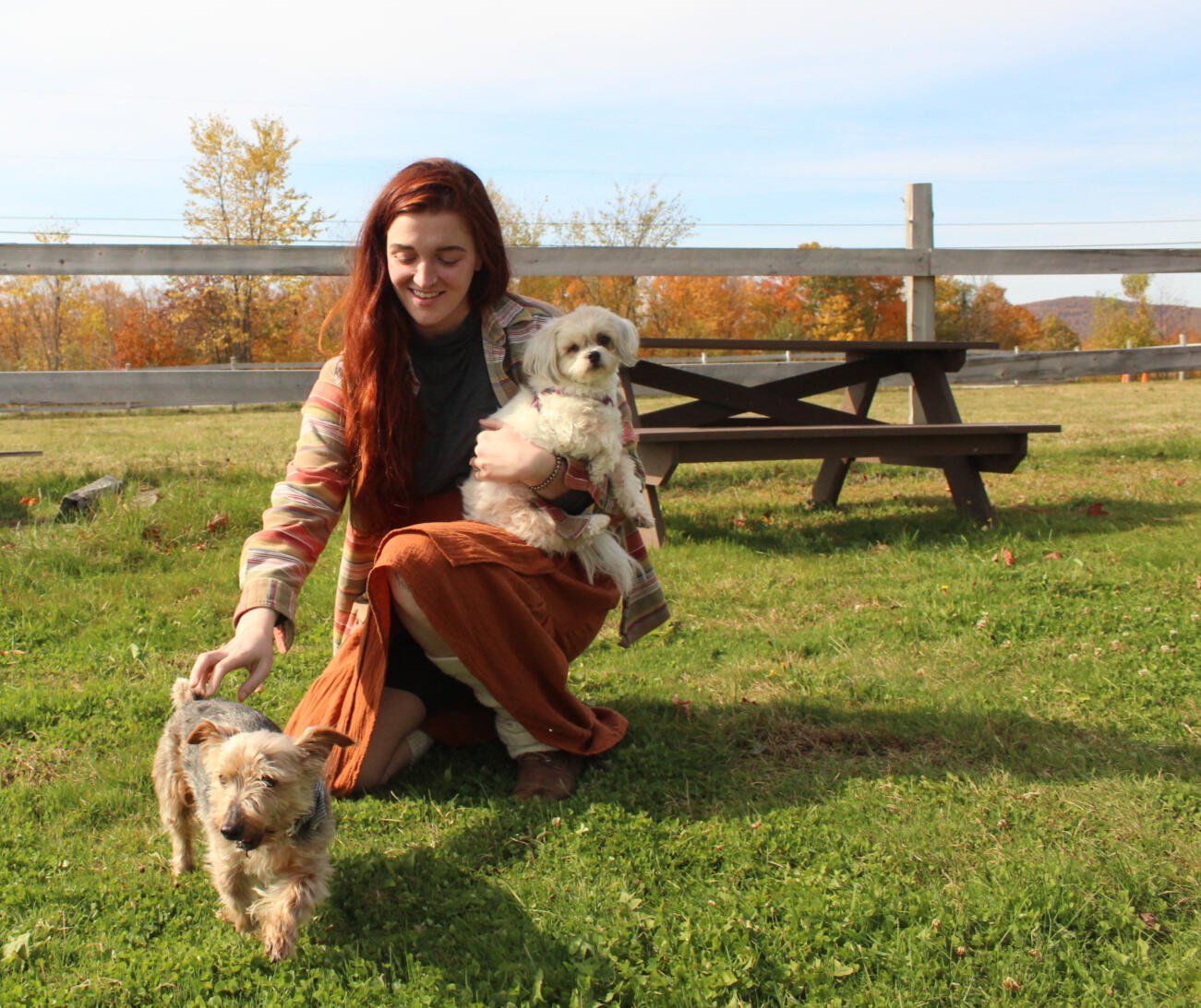 Better Dog Co. founder working with shelter dogs in Charlottesville VA