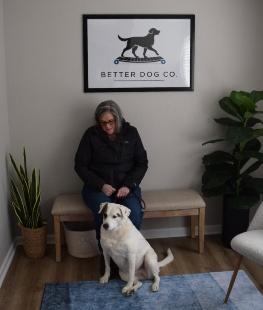 Calm dog & owner in Better Dog Co. waiting room in Charlottesville VA